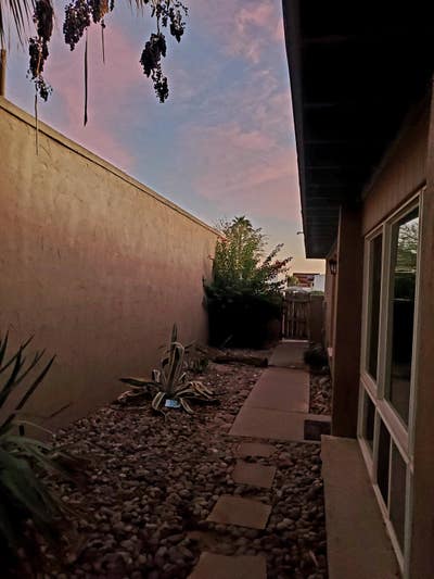 Looking for a roommate in Tempe Main Photo