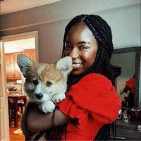 Room wanted in Brooklyn, NY Main Photo