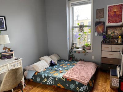  Sun  soaked  room  with  large  closet ( female pref)
 Main Photo