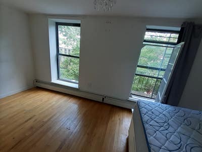 Spacious Room for cat friendly person Main Photo