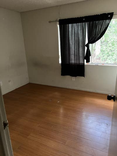 Looking for a clean responsible person  Main Photo