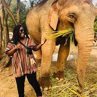 Responsible woman needs North Hollywood room Main Photo