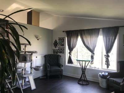 Private bedroom in a large tri-level home Main Photo
