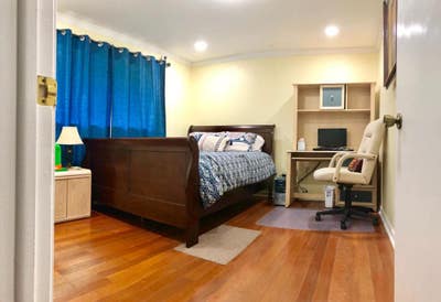 Male Student/Young Prof Wanted for Room Near Usf Main Photo