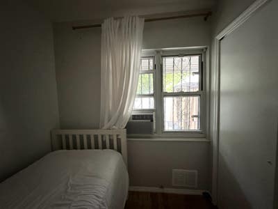 Looking for a professional female   Main Photo