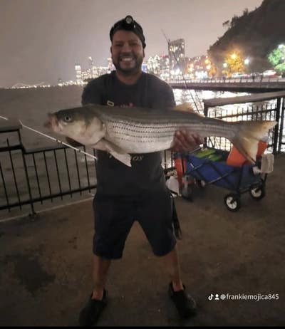 Room wanted in Jersey City, NJ Main Photo