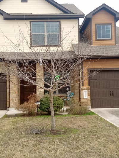 2 rooms rented as a package Main Photo