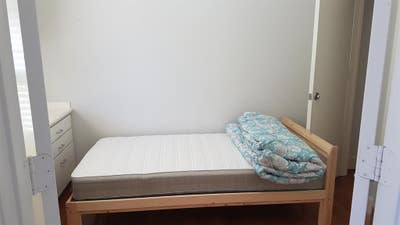 Furnished Room for rent in the Meyerland area Main Photo