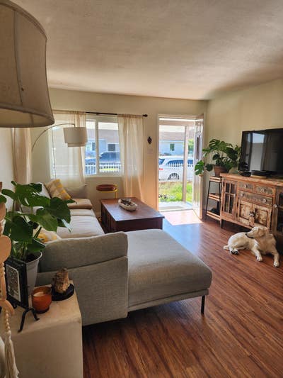  1 ROOM for rent in beautiful quiet neighborhood  Main Photo