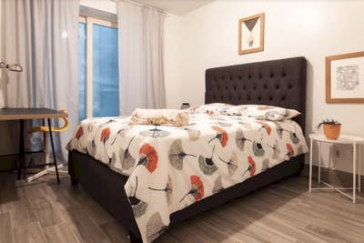 Room in Modern Duplex in the Heart of Williamsburg Main Photo