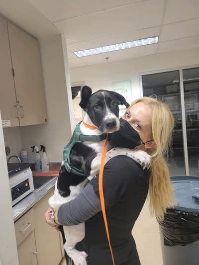 Woman looking for a furnished room in LA Main Photo