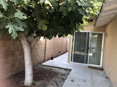 Nice Room with Private Entrance for Rent  Main Photo