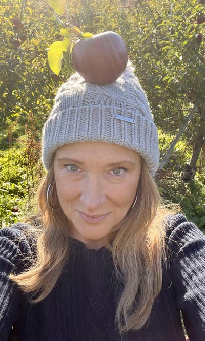 Room wanted in Boston Main Photo