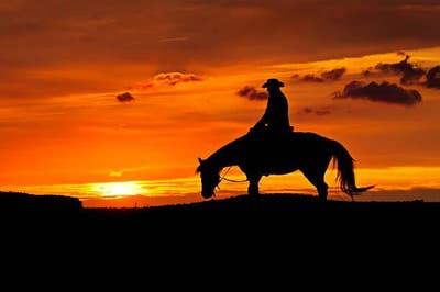 Room wanted in Portland Main Photo