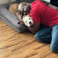 Room wanted in Mission Viejo, CA Main Photo