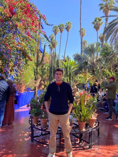 Room wanted in Long Island (NY) Main Photo