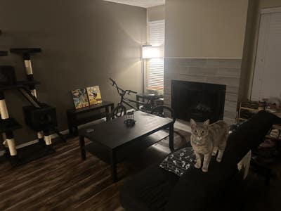 Looking for someone to be my Roommate! Main Photo