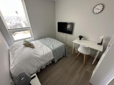 Furnished Luxury Room for Rent Main Photo