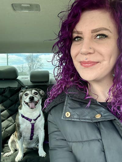 Room wanted in Indianapolis, Marion County, IN Main Photo