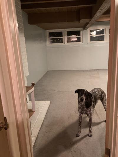 20x20ft room in HOUSE studio-like Main Photo