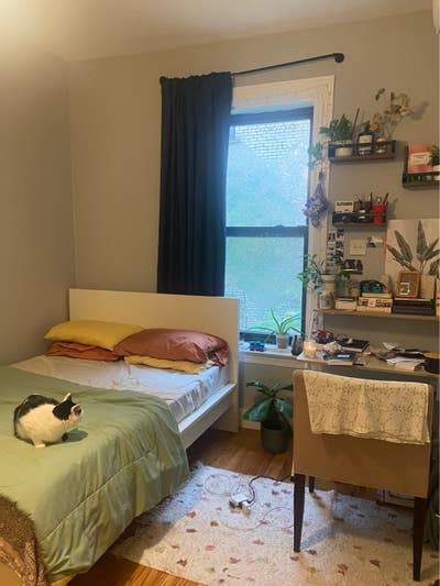 Large room available in 3 BR/1 BA Main Photo