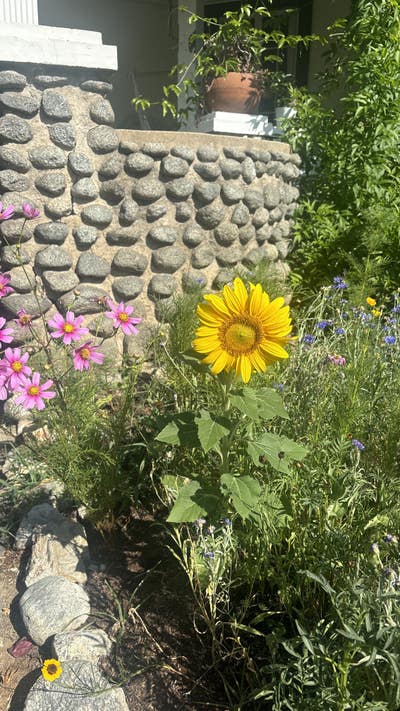 seeking home  Main Photo