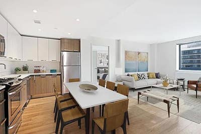 Penthouse apartment in Long Island City  Queens  Main Photo