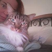 Responsible woman looking for a room in LA Main Photo