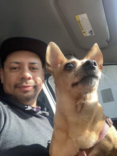 Professional Male seeks a large room  Main Photo