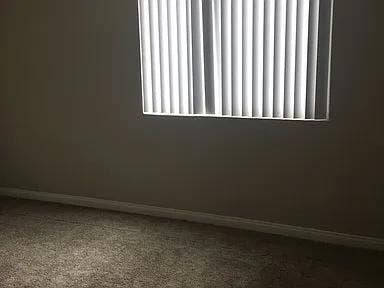 Looking for a roommate Main Photo
