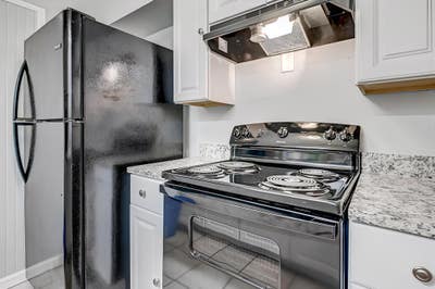 Newlyrenovated Jacksonville Bungalow Main Photo