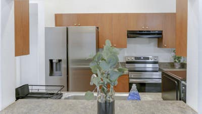 Northeast Tampa Home peace and comfort!! Main Photo