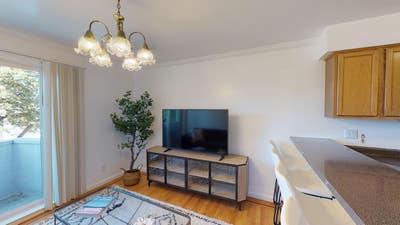  Beautiful Richmond Apt with Shared Backyard Main Photo