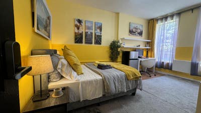 NOW Furnished large room in Sunnyside - NO FEE Main Photo