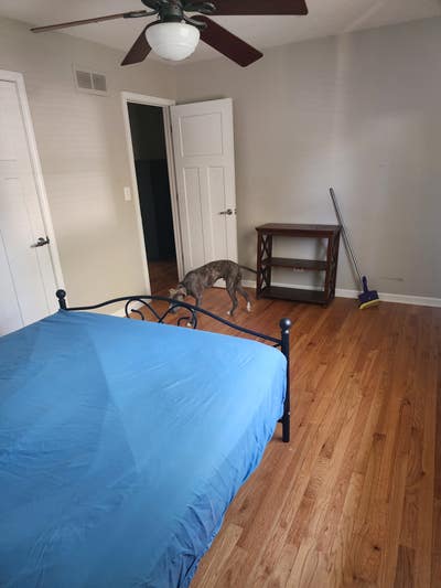 Great house with huge yard Main Photo