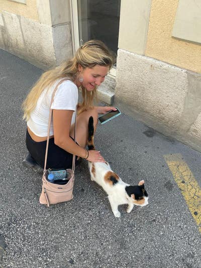 Room wanted in San Francisco Bay Area Main Photo