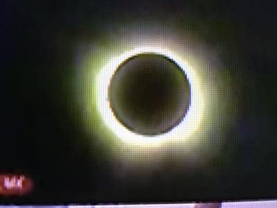 Room wanted in Queens Village, Queens, NY Main Photo