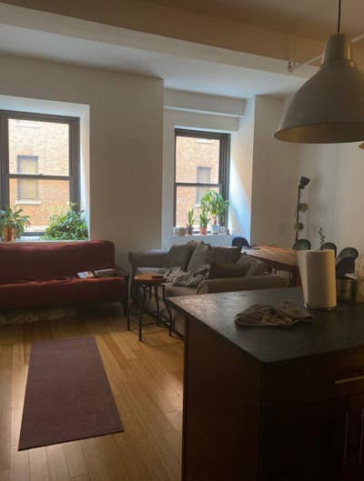 8 month sublet in spacious Downtown BK apt Main Photo