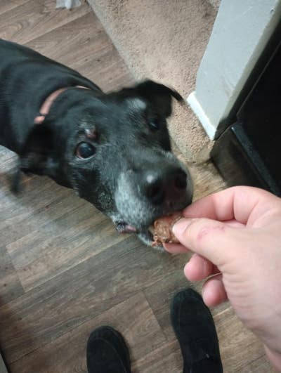 Room wanted in Fort Worth Main Photo