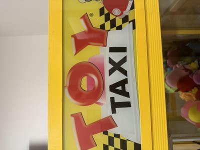 Room wanted in Tampa Main Photo