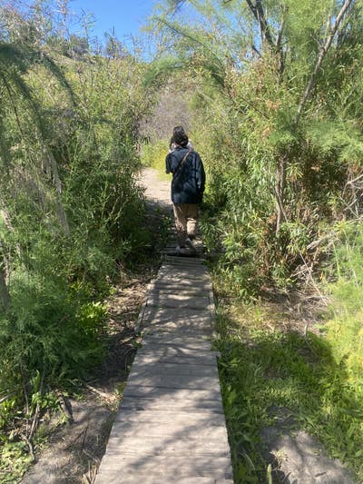 Female student looking for Riverside room Main Photo