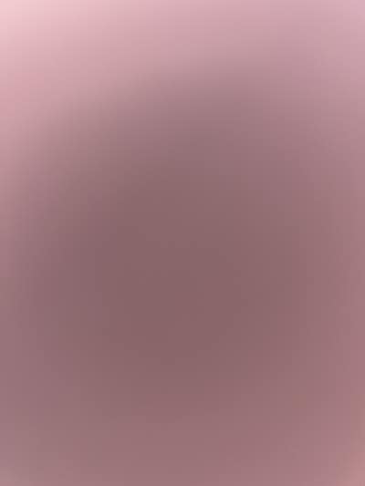 $750 Budget, Female Roommate, Move In Soon Main Photo