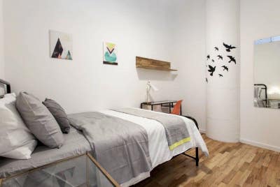 E Williamsburg apt w/ in unit laundry & rooftop Main Photo