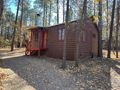 Cabin in the Pines Main Photo