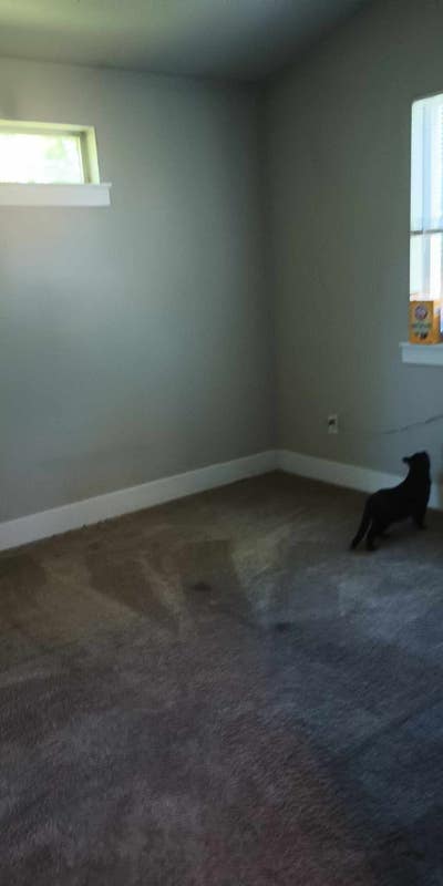 Cozy room in shared home with peaceful humans Main Photo