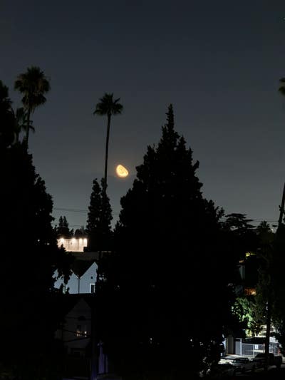 Van Nuys Penthouse Apt. Room Available Main Photo