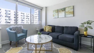 Furnished Apartment For Rent In St. Petersburg Main Photo