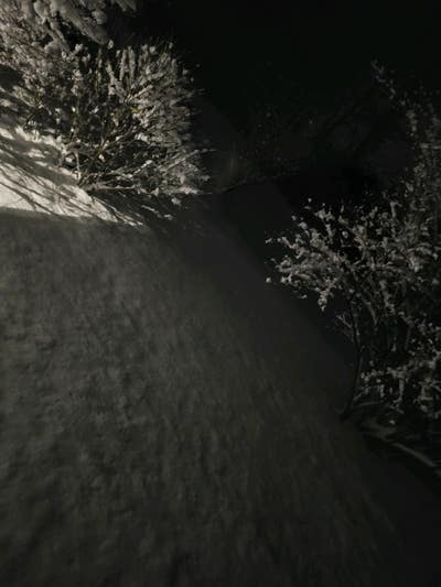 Room wanted in New Jersey Main Photo