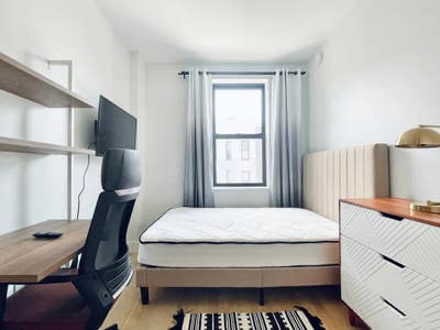 New room with laundry, gym, rooftop, lounge #740 Main Photo