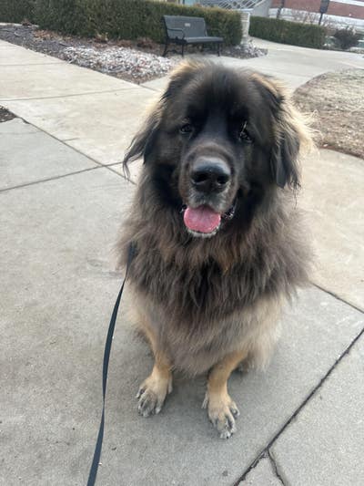 Room wanted in Houston Main Photo